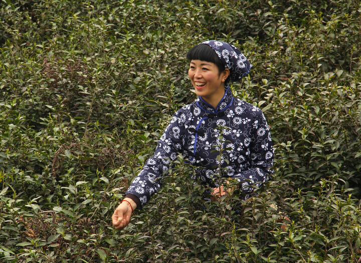 百丽直播app最新版本 热门推荐